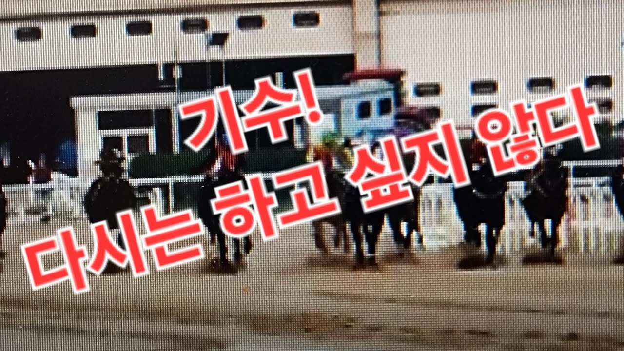 기수! 다시는 하고 싶지 않다