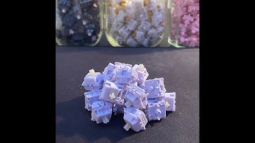 L+F Hippo Switches in a Ikki68 Aurora