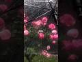 Until I Found You Stephen Sanchez Lyrics Aesthetic Whatsapp Status Slowed Speed Up Yt Until I Found You Stephen Sanchez Lyrics Aesthetic Whatsapp Status Slowed Speed Up Yt