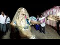 Indian shaadi dance           spl dehati 