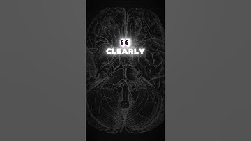 3 Signs You’re Smarter Than You Think. #psycholgyfacts #psychology #smart #shorts #shortsfeed