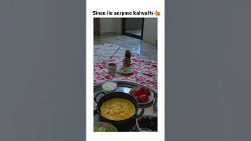 Serpme Kahvaltı Yapan Sincap Animals Yavruhayvanlar Lifeisbutadream Squirrel Cute Trend 