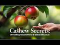 Cashew Secrets: Unveiling Ancient Power &amp; Global Influence!