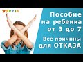 Пособие от 3 до 7 лет. Все 12 причин для отказа.