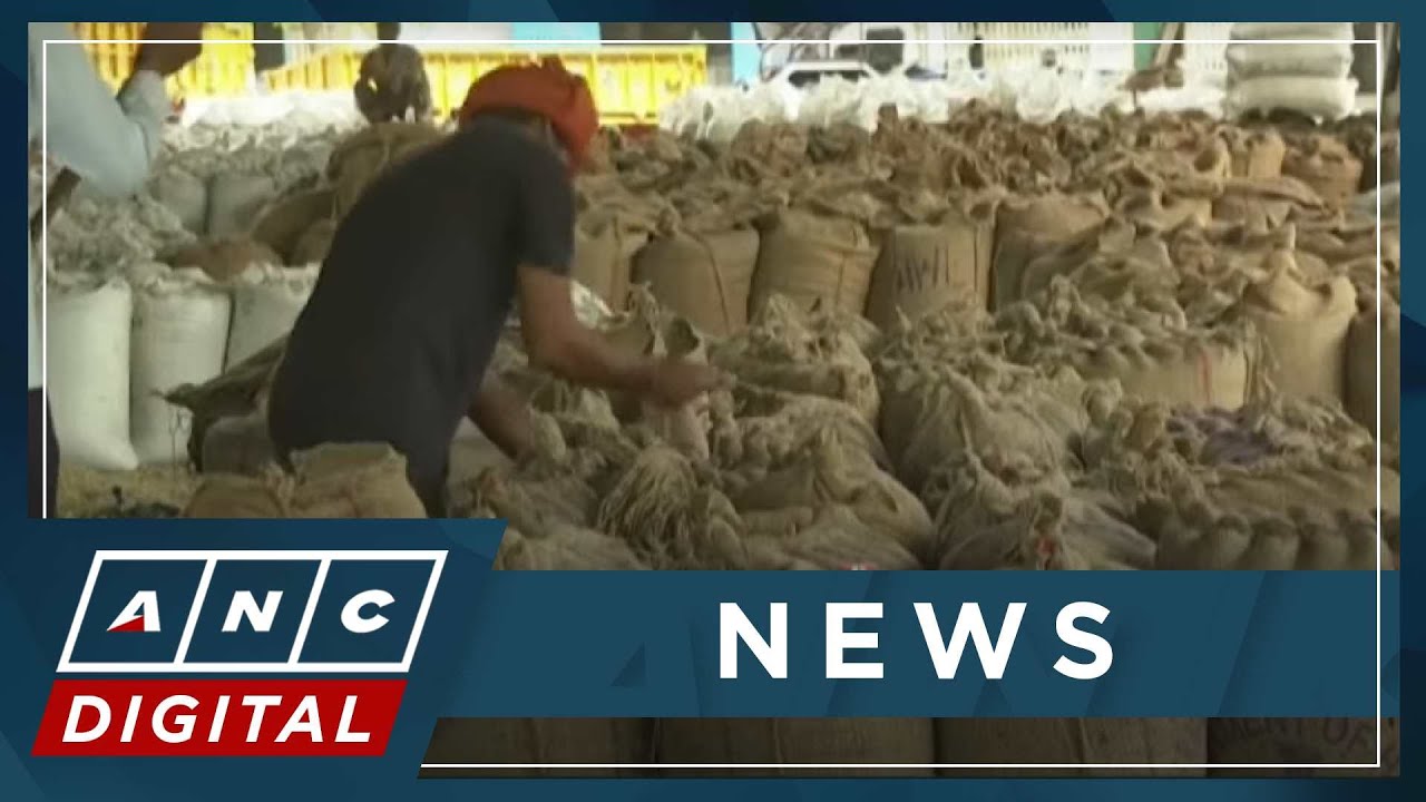 UN FAO: Global rice prices hit 15-year high after India curbs | ANC