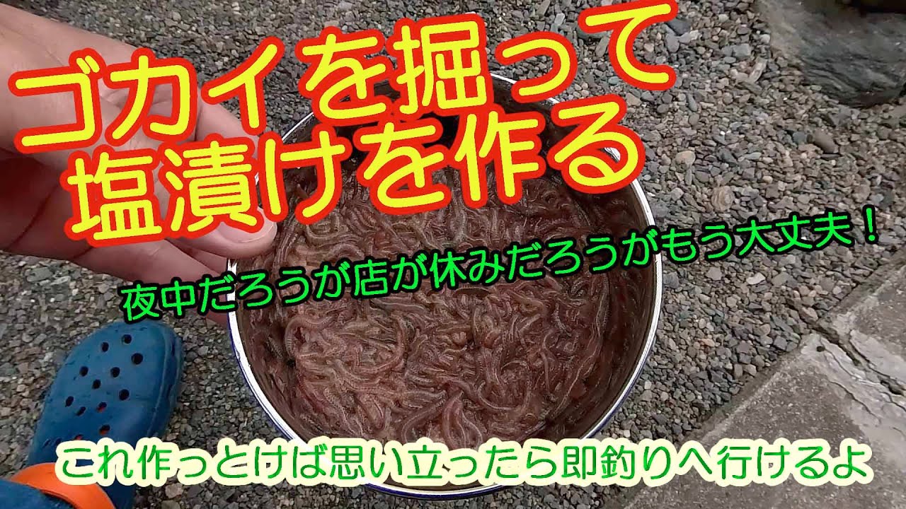 ゴカイを掘って塩漬にして思い立ったら釣りへGo！夜中だろうが店が休み
