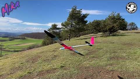 Crazy landing approaches and dynamic soaring between the hedges