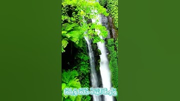 سورة الأنبياء و،،كا.نك تسمعها لأو.ل مر.ة❤️🏵️؛.💮🌻💙🌼💕بصوت الشيخ حمزة مدبو.ح💞💟💔💘؛💓💝💕💖