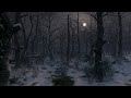 Winter Forest Ambience : Snowy Winter Nights Forest Sound 8 Hours | Owl, Crow Sounds