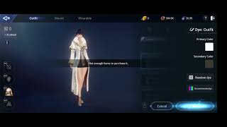 Outfit Bug/Please Fix This mir4!