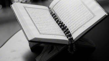 سورة الشمس الشيخ وليد النائحي برواية قالون عن نافع