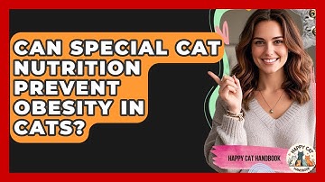 Can Special Cat Nutrition Prevent Obesity In Cats? - Happy Cat Handbook