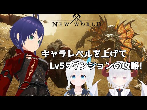 【New World】キャラレベル上げとLv55ダンジョンの攻略 #14【Vtuber】