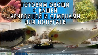 видео: КАК ПРИГОТОВИТЬ ПОЛЕЗНУЮ ЕДУ ДЛЯ ПОПУГАЕВ | ОВОЩИ С КАШЕЙ И СЕМЕНАМИ ВКУСНАЯ ЕДА ДЛЯ ПОПУГАЕВ картинка: КАК ПРИГОТОВИТЬ ПОЛЕЗНУЮ ЕДУ ДЛЯ ПОПУГАЕВ | ОВОЩИ С КАШЕЙ И СЕМЕНАМИ ВКУСНАЯ ЕДА ДЛЯ ПОПУГАЕВ