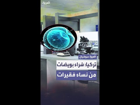 تحقيق رسمي في شراء مركز طبي بويضات نساء فقيرات في تركيا