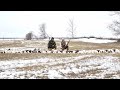South Dakota Spring Snow Goose Hunt 2023 (121)
