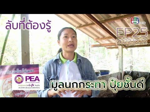 วีดีโอ: ใครได้รับการยกเว้นไม่ต้องเสียภาษีทรัพย์สิน? วีรบุรุษแห่งสหพันธรัฐรัสเซีย พิการตั้งแต่วัยเด็ก วีรบุรุษแห่งสหภาพโซเวียต