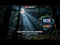 Electric Digital Sounds (EDS) — Higher Skies