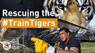 #TrainTigers: RESCUE DAY - Don’t cry for them, Argentina!