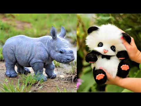 دنیا کے10 سب سے پیارے جانوروں کے بچے | Cutest Baby Animals In The World