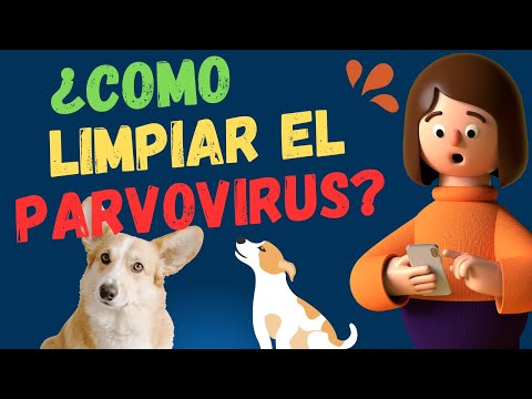 Video: Cómo desinfectar mi casa de Parvo