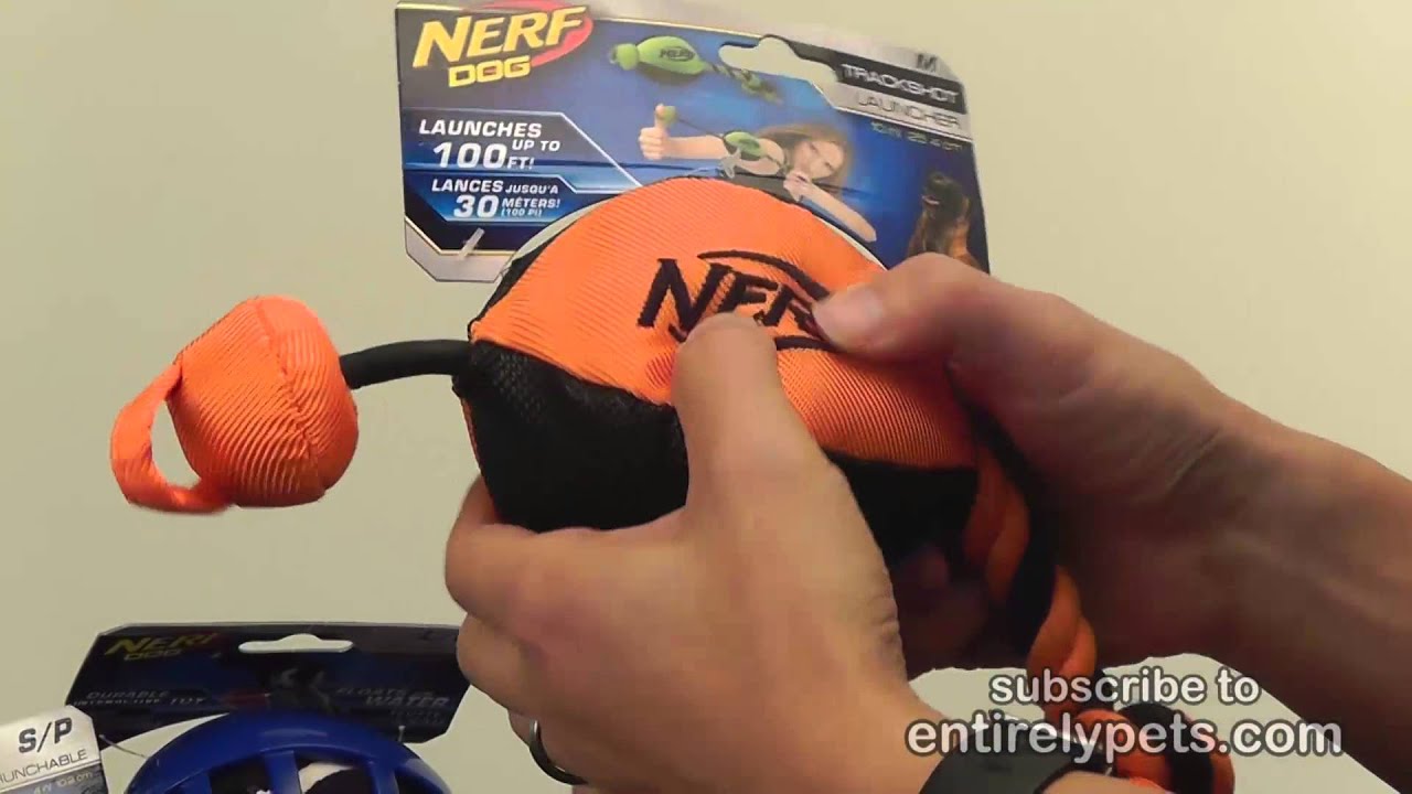 Nerf Dog Trackshot Duck Launcher Toy