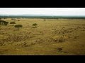 Crocodile Behavior During Migration