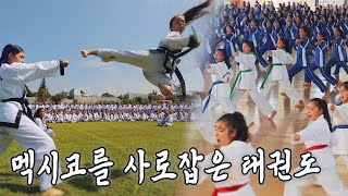 멕시코 태권도 50주년, 멕시코를 사로잡은 태권도의 매력｜[국내다큐] KBS 20100807