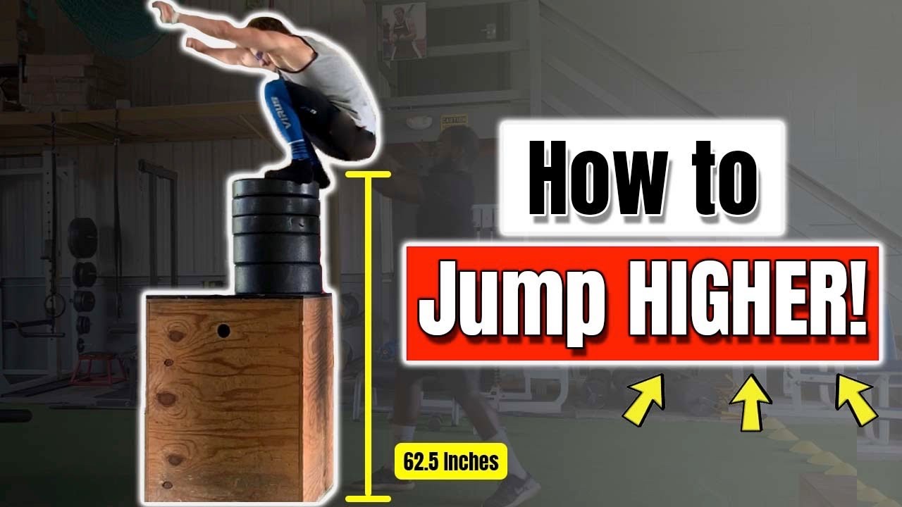 Vertical Jump Explained (The Stretch-Shortening Cycle and Muscular Co ...