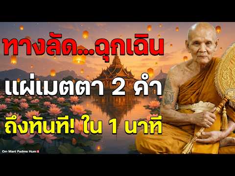 แผ่เมตตาสั้นมาก แค่ 2 คำ ตามคำสอน #หลวงปู่ดู่ #หลวงพ่อฤๅษีลิงดำ #OmManiPadmeHum