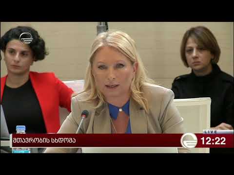 ნათია თურნავა მთავრობის სხდომაზე