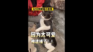 救命～我因为太可爱被逮捕了！ by 和猫住Live With The Cat 9,664 views 11 months ago 1 minute, 14 seconds