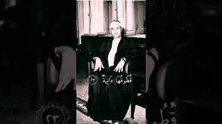 Sheikh mustafa ismail stuns his crowd shocked|#muhammadbunumar|#quran #qurantilawat