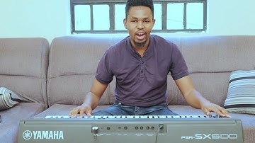 SEBEN TRANSFORMATION JOURNEY TO ADVANCED LEVI PRO