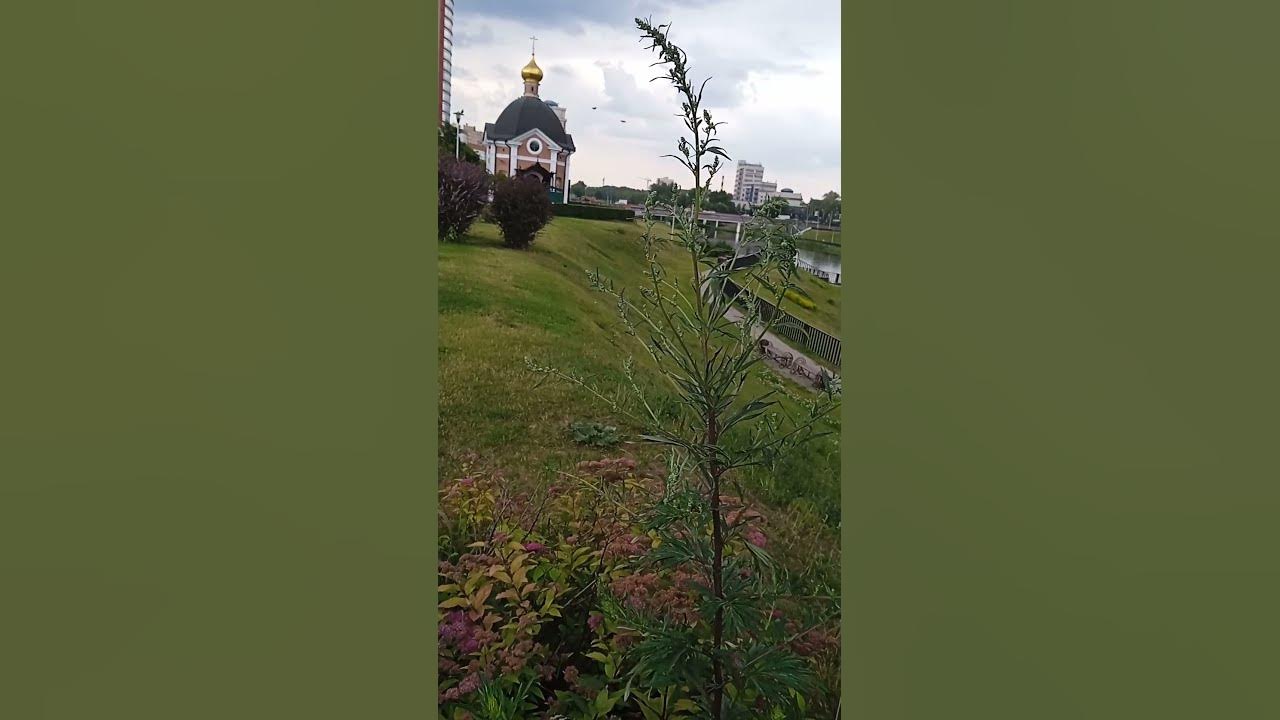 И птички пролетали в далеке - YouTube