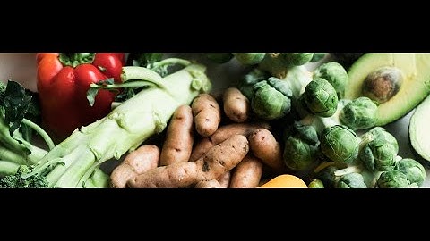 Protecting Virginia Stomachs, DMV group final project for CS 4774