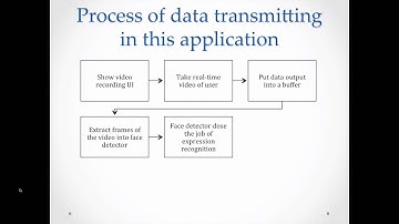 EEL 6512 Course Project Demo