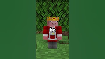 Thumbnail of Who Is The Worst Minecraft Player?