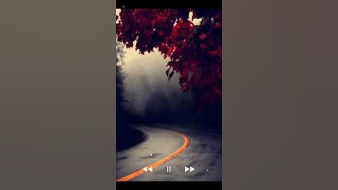 قرأن كريم بصوت الشيخ عبد الرحمن مسعد|صوت ينسيك هموم الدنيا||تلاوه خاشعة #قرأن_كريم