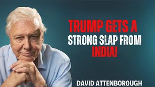 Trump Gets a Strong Slap from India | David Attenborough Motivational Speech