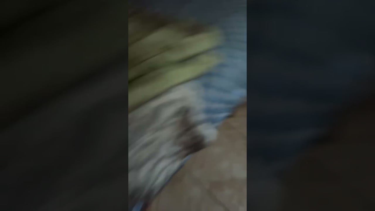 Don’t say Candice new version