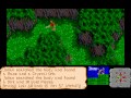 Amiga longplay the faery tale adventure