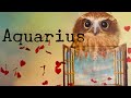 AQUARIUS - CHANGING THE OLD FOR THE NEW, BEAUTIFUL SOULMATE CONNECTION!   General read, JULY 2021!
