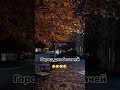 Краснодар как вам ???? #михахороший #Краснодар #крд