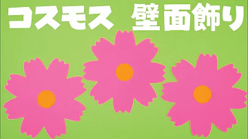 Download 壁面 コスモス Mp4 Mp3