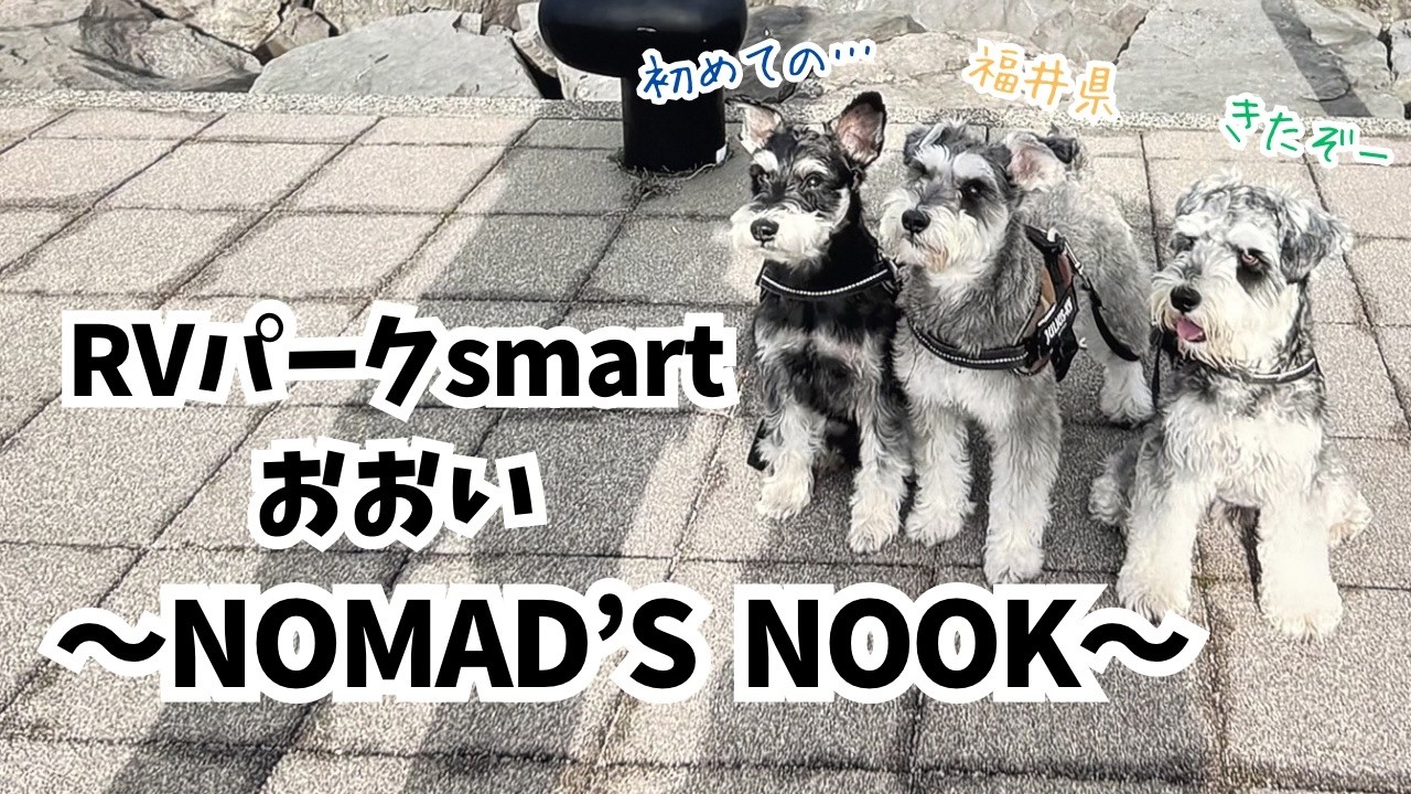 【愛犬とお出かけ】我が家の初・福井県！美味しい海鮮あり温泉ありの旅でのんびり車中泊を楽しみました