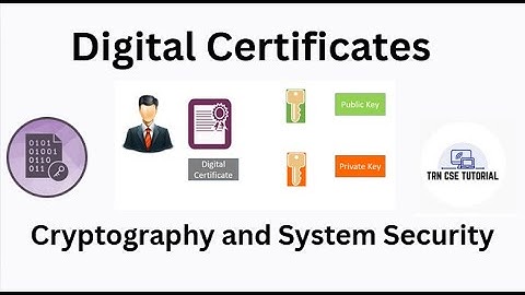 Digital Certificate in Cryptography | Cryptography and System Security #cryptography