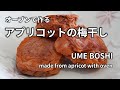 【オーブンで作るアプリコットの梅干し】本格的な梅干しの見た目と味です。青梅が手に入らない外国でおすすめの作り方です。 Dried Apricot (UMEBOSHI) making with oven