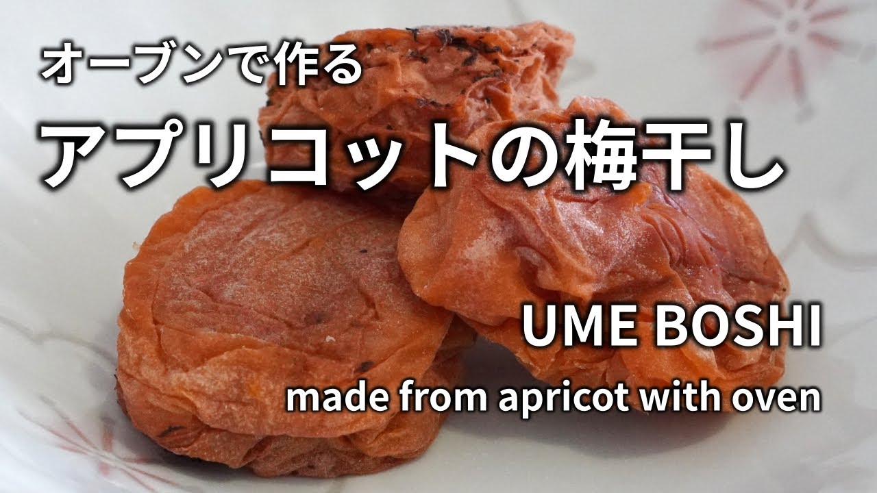 【オーブンで作るアプリコットの梅干し】本格的な梅干しの見た目と味です。青梅が手に入らない外国でおすすめの作り方です。 Dried Apricot (UMEBOSHI) making with oven