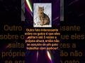 Gato doméstico 2